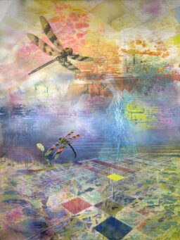 Dragonflies 48x36